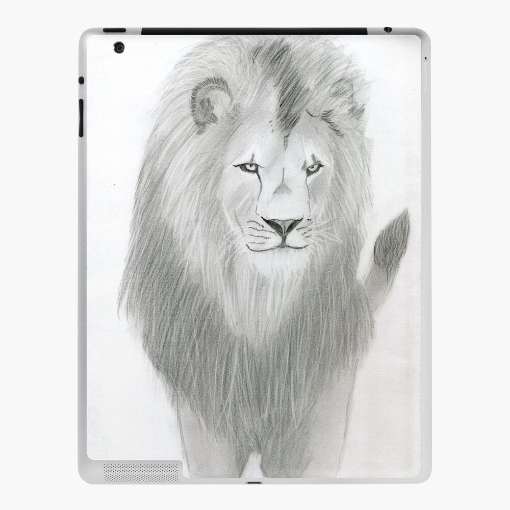 Realistic Lion Drawing