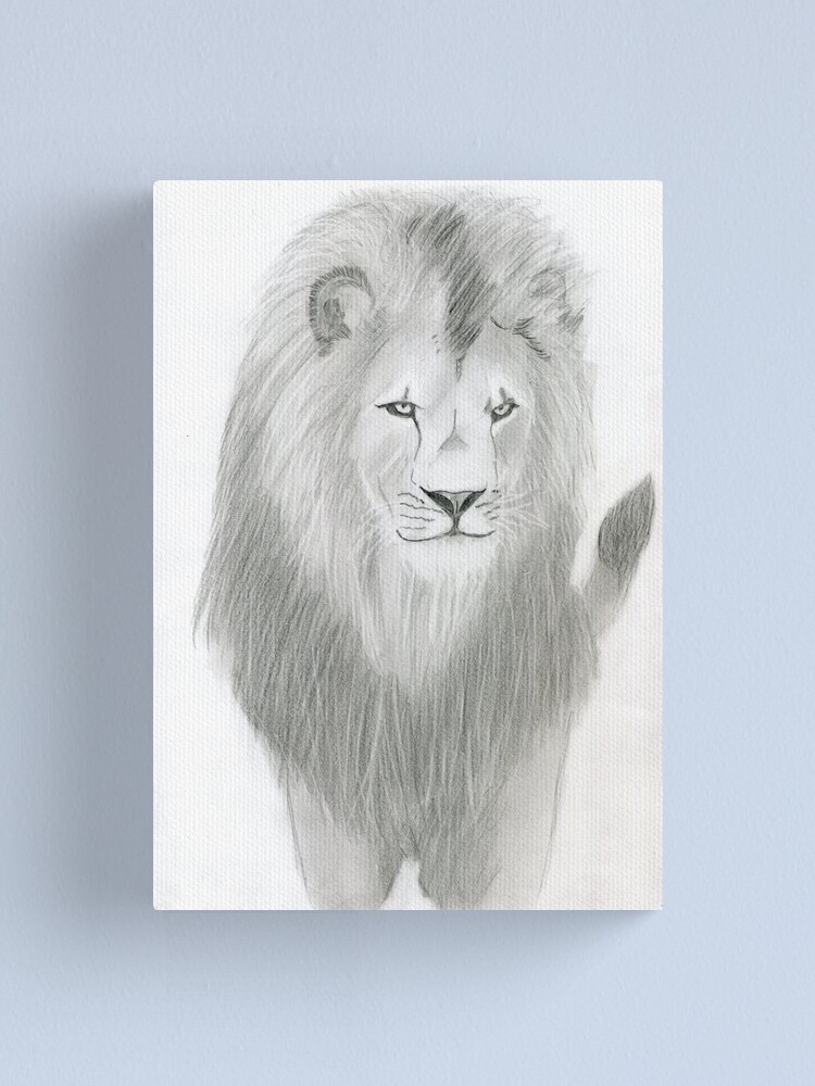 How to Draw a Realistic Lion | Dibujos realistas, Dibujos sencillos, Cómo  dibujar cosas