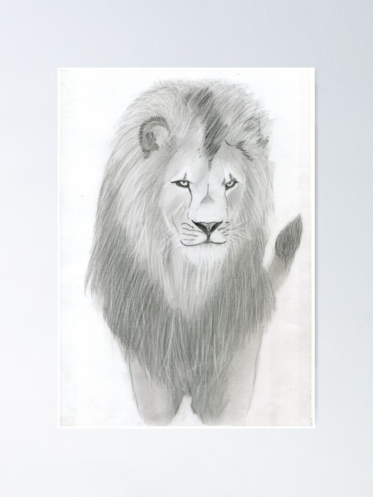 Lion - Coloured Pencil Drawing by typicalsara on DeviantArt