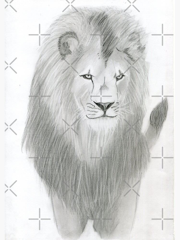 FREE 7+ Lion Drawings in AI
