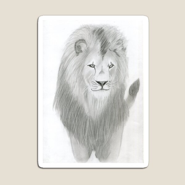 Magnet Lion Africaine Safari Chasse Rugissement Animal Art Afrique Carte Dessin Par Teesbydesign Redbubble