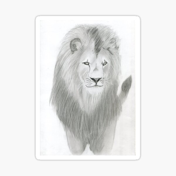 Pencil Sketch Of Lion Merch & Gifts for Sale