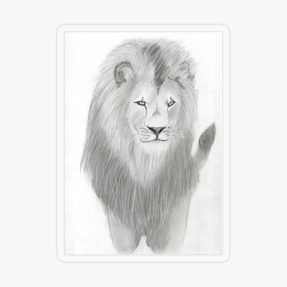 How To Draw A Lion Roaring, Roaring Lion, Step by Step, Drawing Guide, by  Dawn - DragoArt