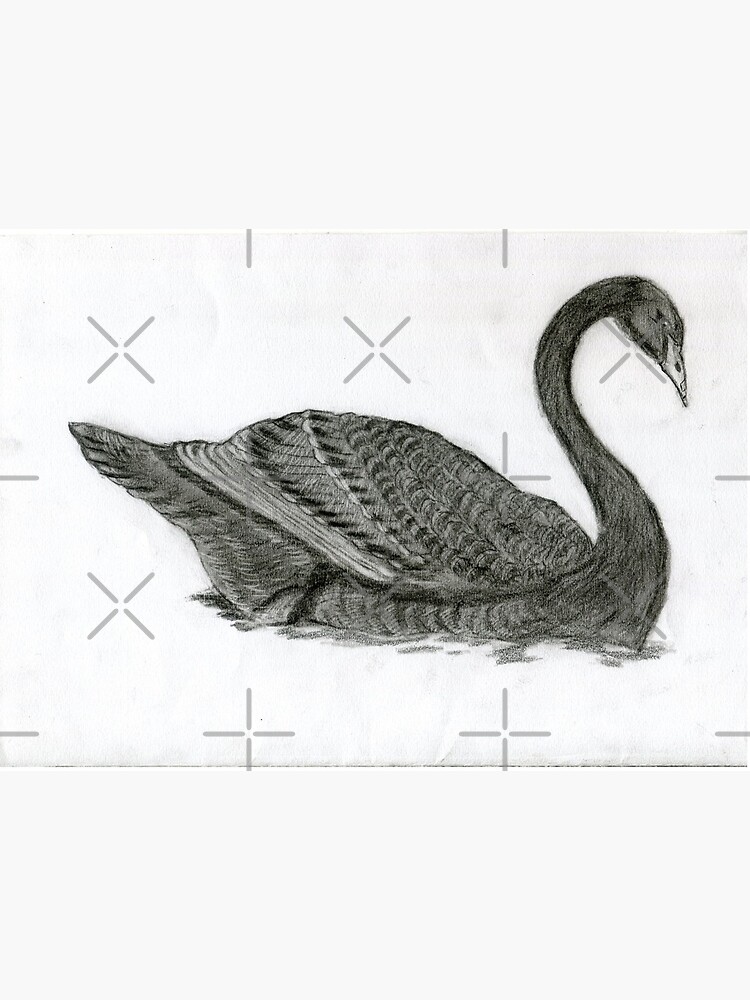 Swan Bird - Pencil Shading Drawing | Nitin Epic - YouTube