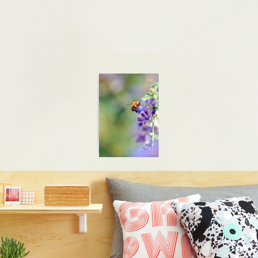 Busy Buzzy Bumble Photographic Print