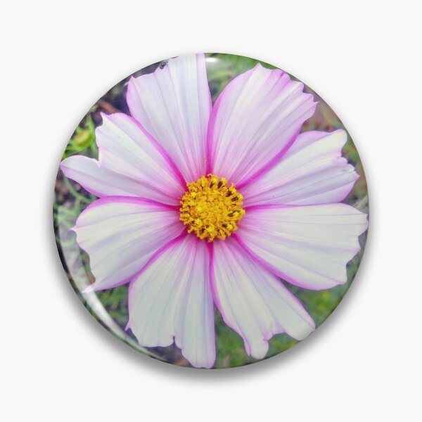 Artikelvorschau, Kosmosblume entworfen und verkauft von DaisyFlower123.