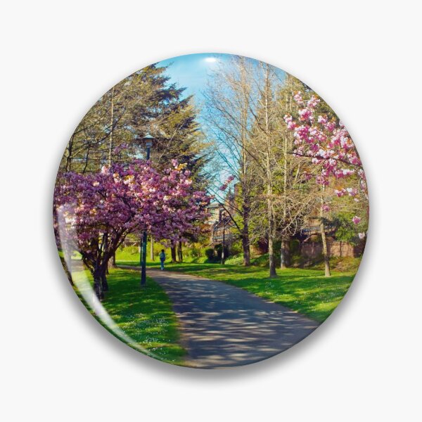 Aperçu de l'œuvre Le sentier Prunus, Vancouver, BC créée et vendue par Priscilla Turner.