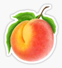 One peach on branch Sticker