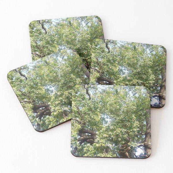 Item preview, Oak Tree designed and sold by DaisyFlower123.