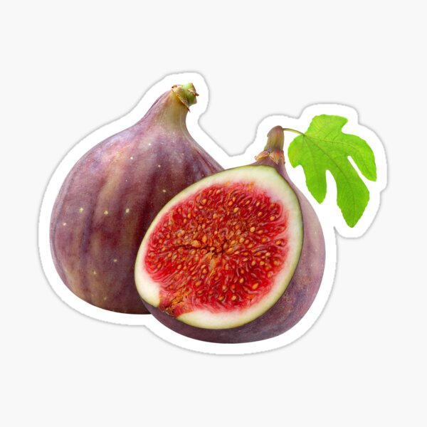 "Fresh figs" Sticker for Sale by 6hands Redbubble