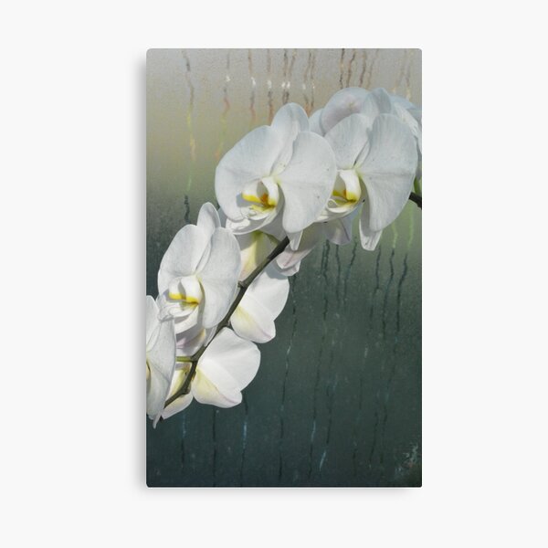 Winter Joy at The Phipps Conservatory Pittsburgh Canvas Print