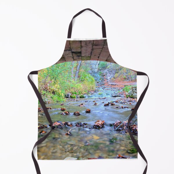 Item preview, Autumn Under The Bridge designed and sold by LynyrdSky.