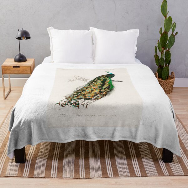 Item preview, Indian peacock peafowl bird illustrated by Charles Dessalines D' Orbigny Vintage designed and sold by conceptDVS.