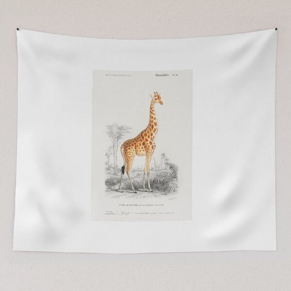 Item preview, Vintage Giraffe (Giraffa camelopardalis) illustration wall art print and poster designed and sold by conceptDVS.
