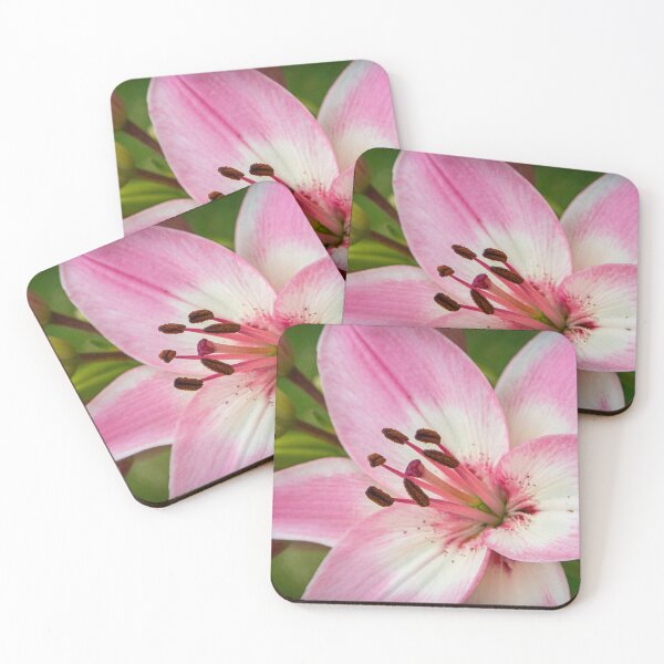 Item preview, Lily designed and sold by SMartin.