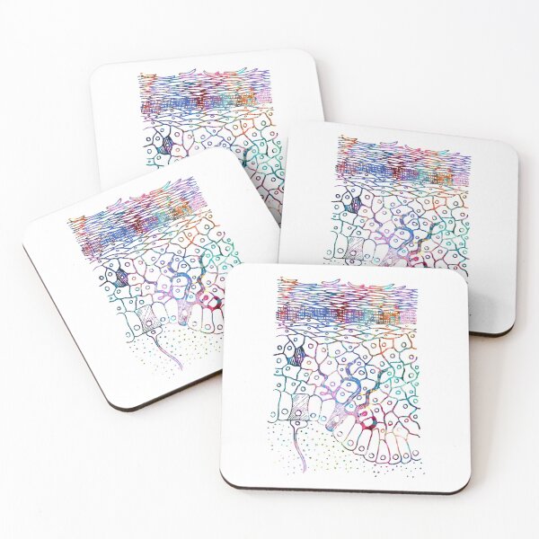 Item preview, Human Skin Layers designed and sold by EvasDreams.