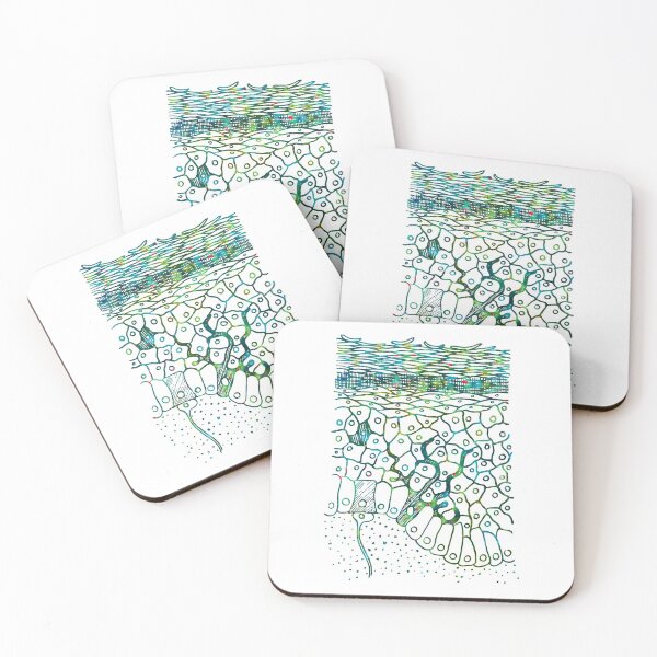 Item preview, Human Skin Layers designed and sold by EvasDreams.