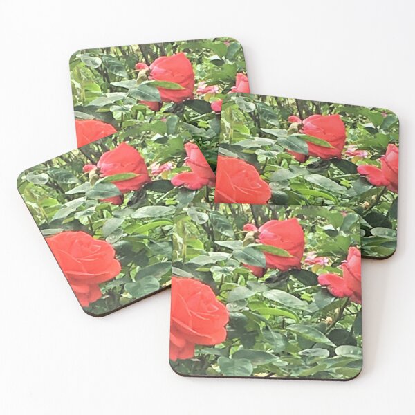Item preview, 3 Roses in the Wild designed and sold by Graykat.