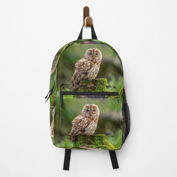 Item preview, Tawny Owl designed and sold by Dalyndigital Photography.