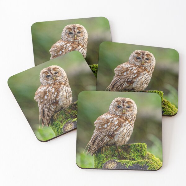 Item preview, Tawny Owl designed and sold by Dalyndigital Photography.