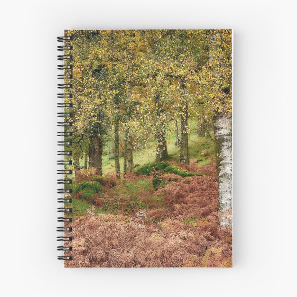 Item preview, Rusland Birch - Autumn colours designed and sold by Steve Miller.
