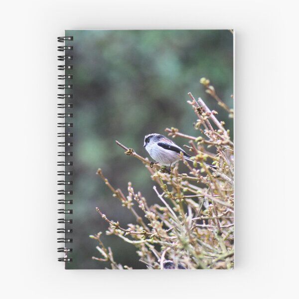 Item preview, Long Tailed Tit designed and sold by Emma Kimberley.
