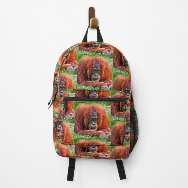 Item preview, Orangutan Who do you think you are looking at! designed and sold by Dalyndigital Photography.