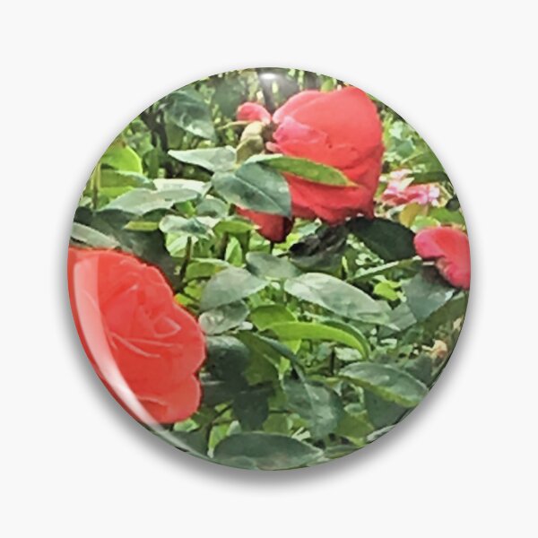 Item preview, 3 Roses in the Wild designed and sold by Graykat.