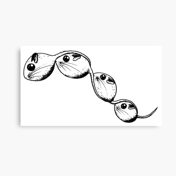 Item preview, Rodent B&W designed and sold by Jellie.