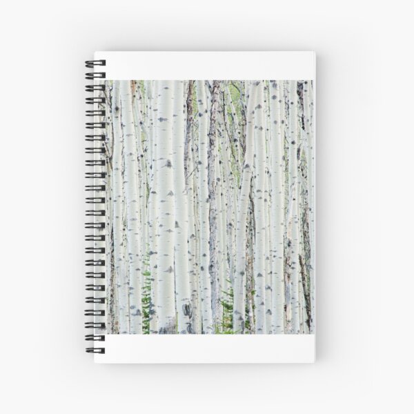 White Birch Tree Forest Spiral Notebook