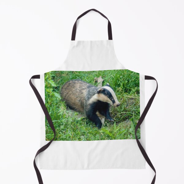 Aperçu de l'œuvre Badger in the Wild créée et vendue par Mike Cave.