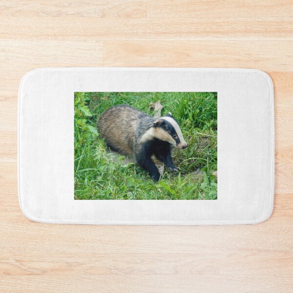 Aperçu de l'œuvre Badger in the Wild créée et vendue par Mike Cave.
