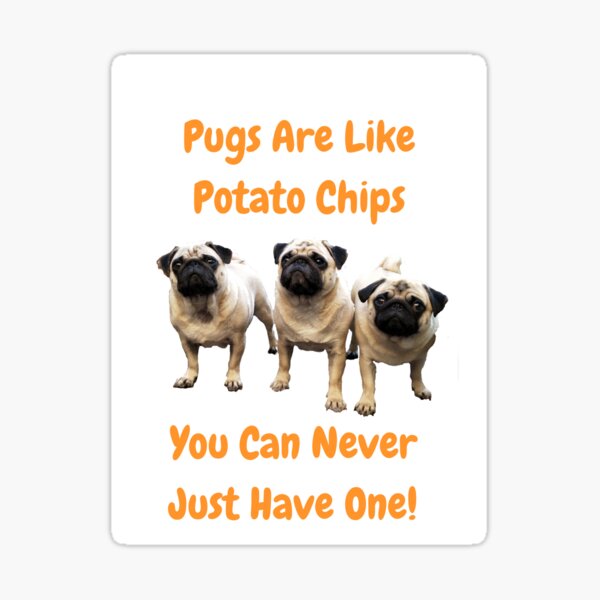 Pugs Are Like Potato Chips - You Can Never Just Have One! Sticker