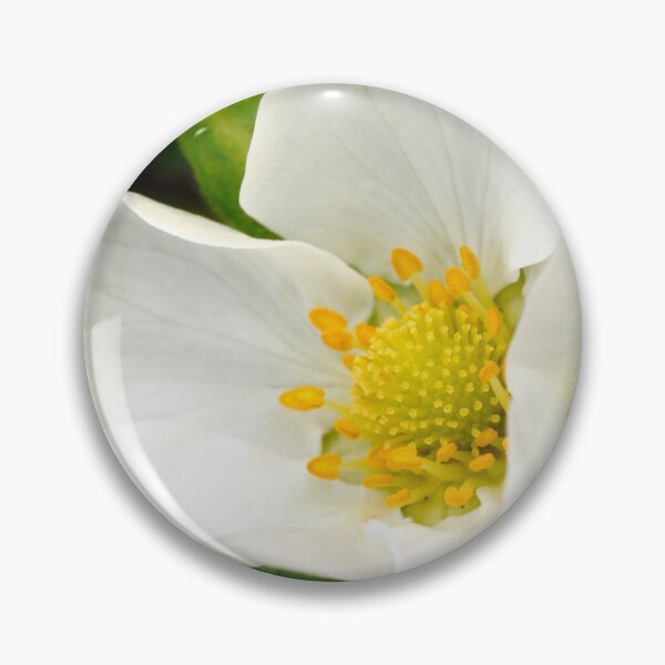 Item preview, Strawberry flower designed and sold by Gaspar Avila.