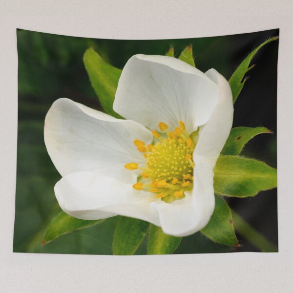 Item preview, Strawberry flower designed and sold by Gaspar Avila.
