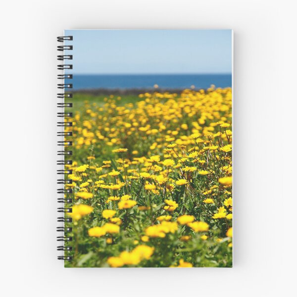 Item preview, Field of yellow daisies designed and sold by Gaspar Avila.