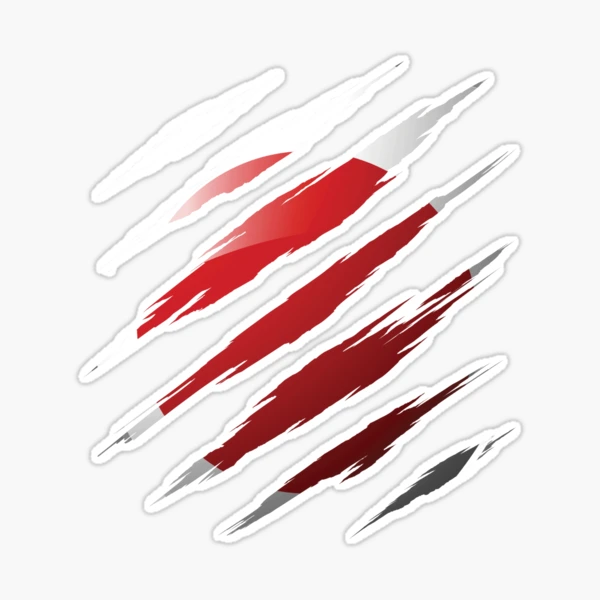 Red Scratches Png - Roblox Scratch T Shirt Transparent PNG