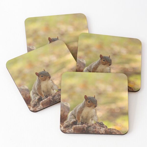 Item preview, Squirrel on a log designed and sold by Gaynor-dI.