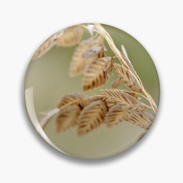 Item preview, Sea Oats designed and sold by MarjorieB.
