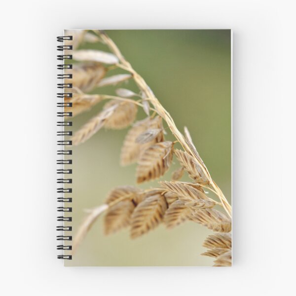 Item preview, Sea Oats designed and sold by MarjorieB.