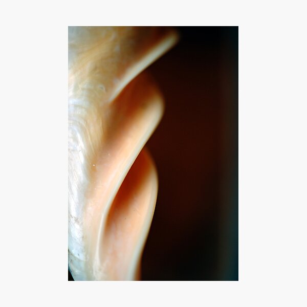 Fluted Column of Pearl Photographic Print