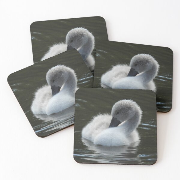 Item preview, Grey cygnet preening feathers designed and sold by Gaynor-dI.