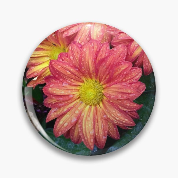 Aperçu de l'œuvre Savannah Street Daisies créée et vendue par Crokee.