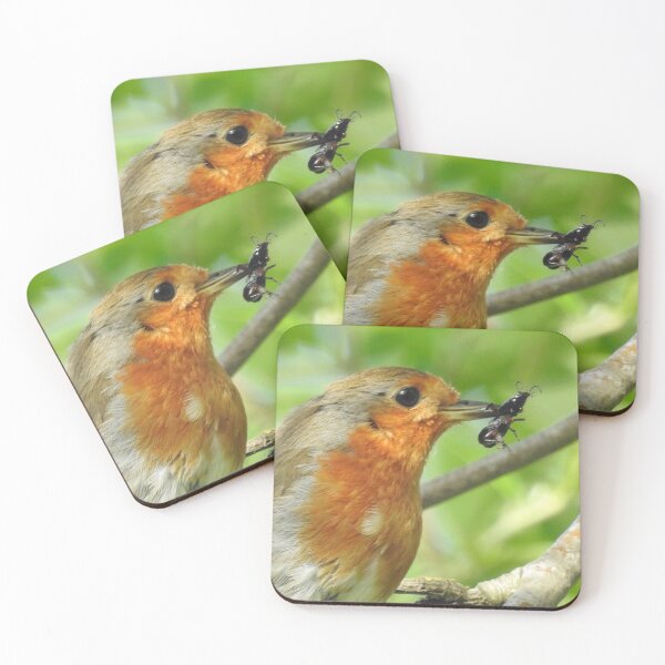Item preview, Robin with insect in beak designed and sold by Gaynor-dI.