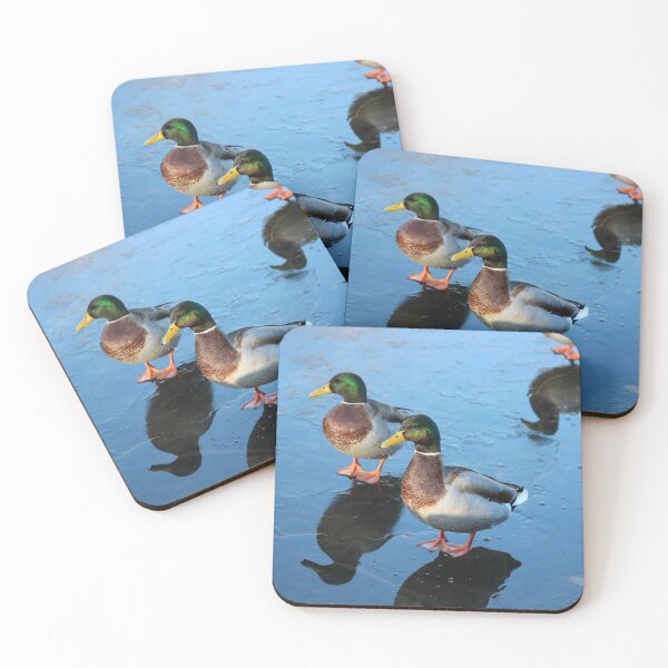 Item preview, Ducks on iced water designed and sold by Gaynor-dI.