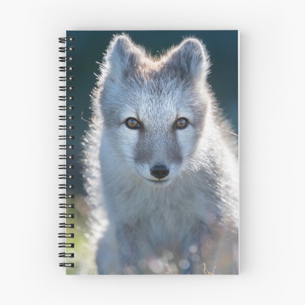 Item preview, Cute arctic fox in blurry grass  designed and sold by C-B-Stuedal.