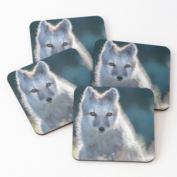 Item preview, Cute arctic fox in blurry grass  designed and sold by C-B-Stuedal.