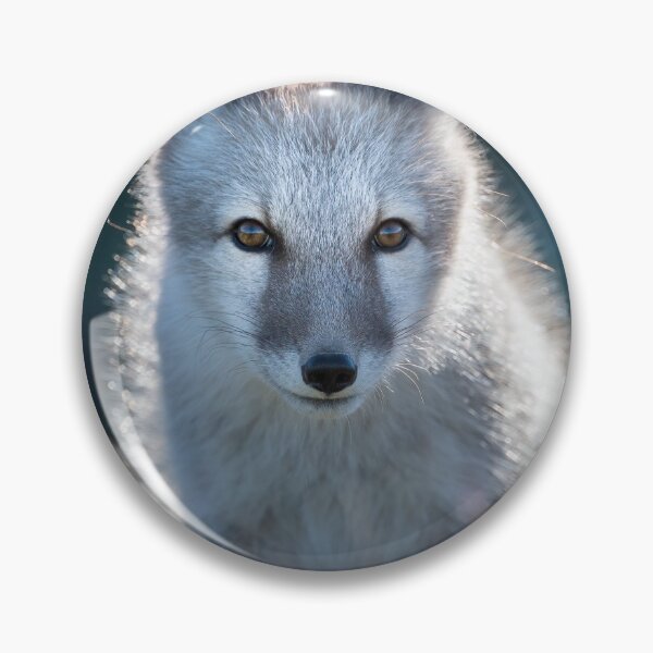 Item preview, Cute arctic fox in blurry grass  designed and sold by C-B-Stuedal.