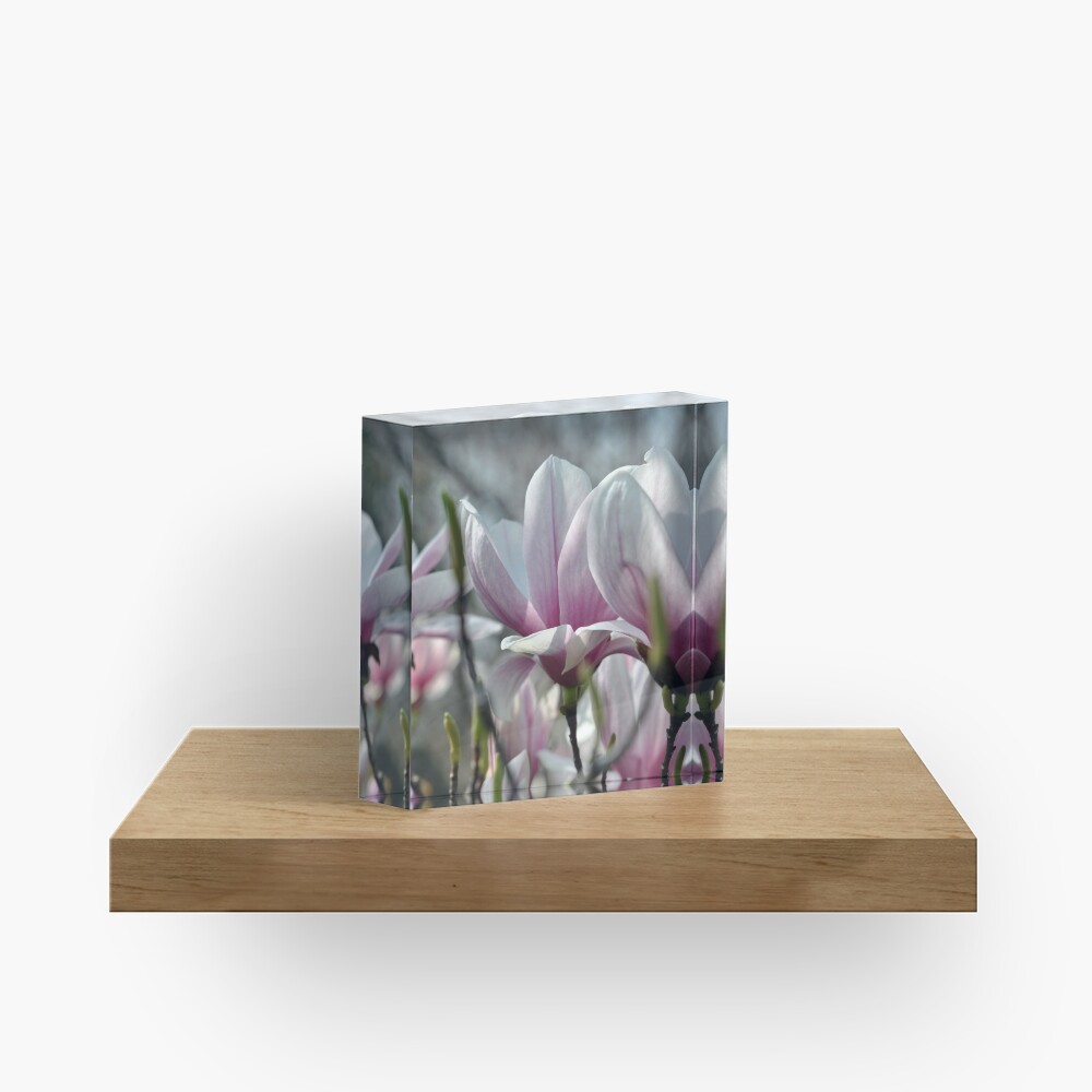 Item preview, Acrylic Block designed and sold by MarjorieB.