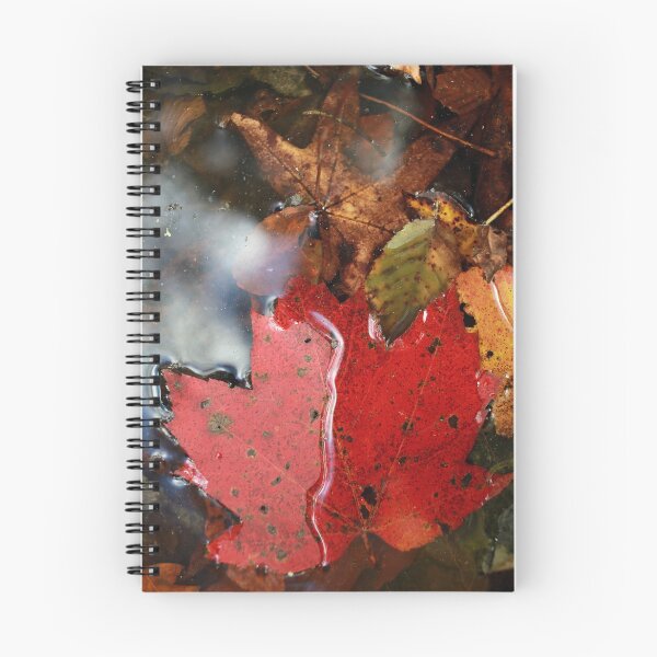 Item preview, Fallen Leaves designed and sold by StampCity.